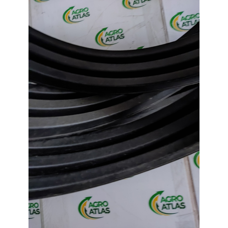 Пас клиновий Z59286